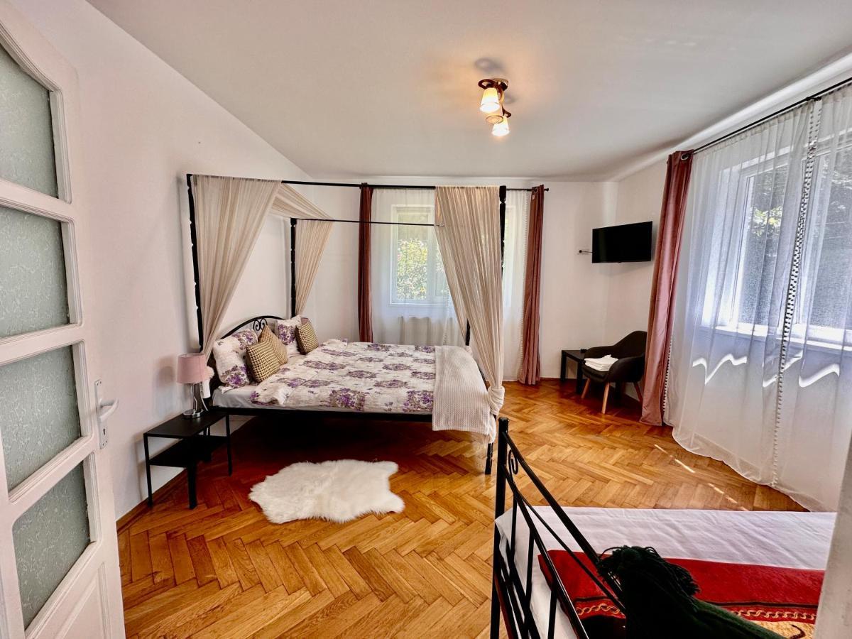 Anton Pann House - Entire House Below The Citadel Сигишоара Екстериор снимка